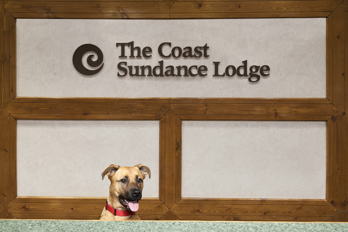 Coast Sundance Lodge