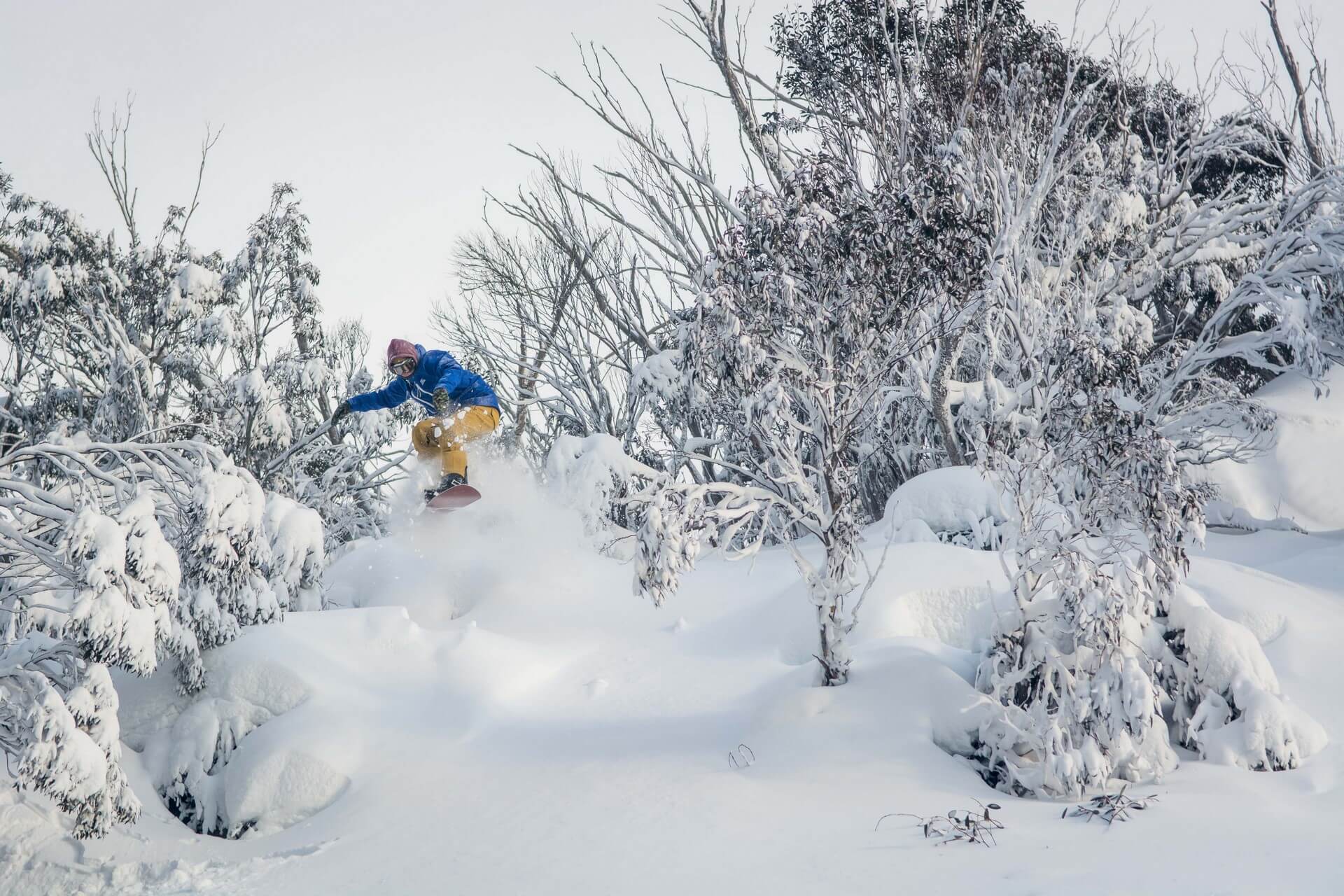 The Denman Thredbo Ski Packages Book For 2018 Ski Travel - 